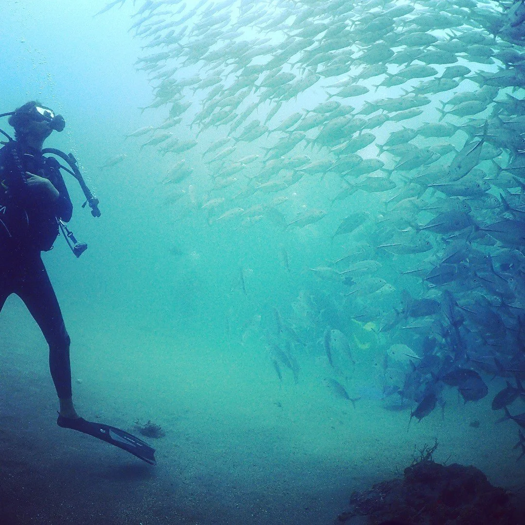 &nbsp;Why Stories Matter for Ocean Literacy