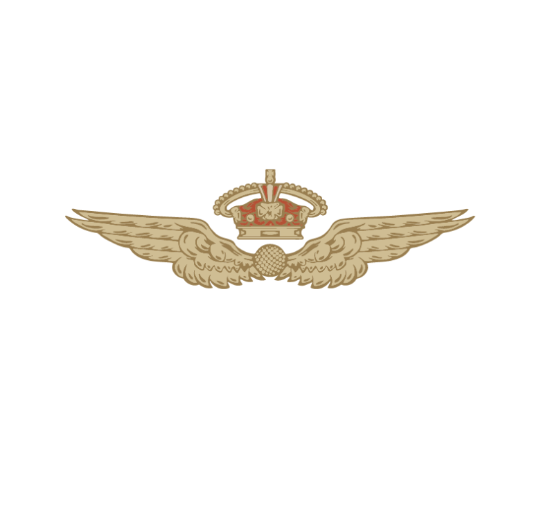 A vintage-style embroidered badge featuring a gold crown above a pair of outstretched wings.