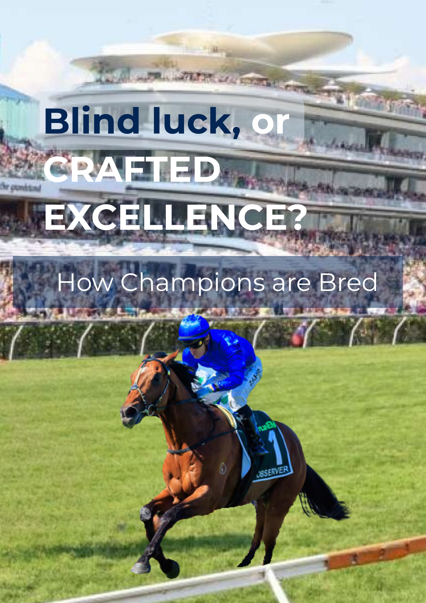 A horse racing jockey riding a thoroughbred on a racetrack, with a large sports complex in the background, likely at a horse racing event.