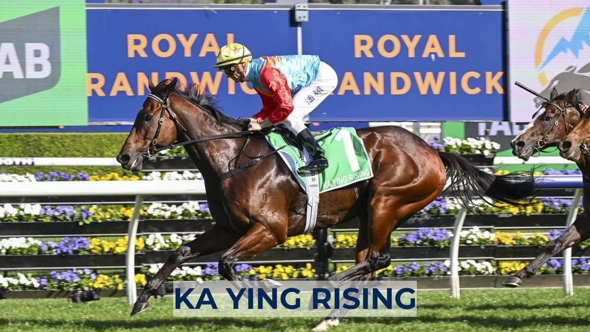 KA YING RISING.jpg