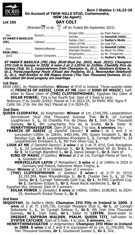 The text on a racehorse pedigree and achievement certificate. It details the pedigree, achievements, and awards of a bay colt, including wins in various races and championships, with specific mentions of horses such as ST MARK S BASILICA, ERIN, QUEEN CLEOPATRA, and others.