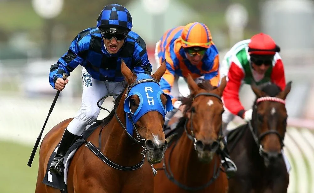 Buffering driving hard under blue‑and‑black checkered silks, showcasing his trademark Group 1 sprinting power and front‑running intensity in a high‑pressure race.