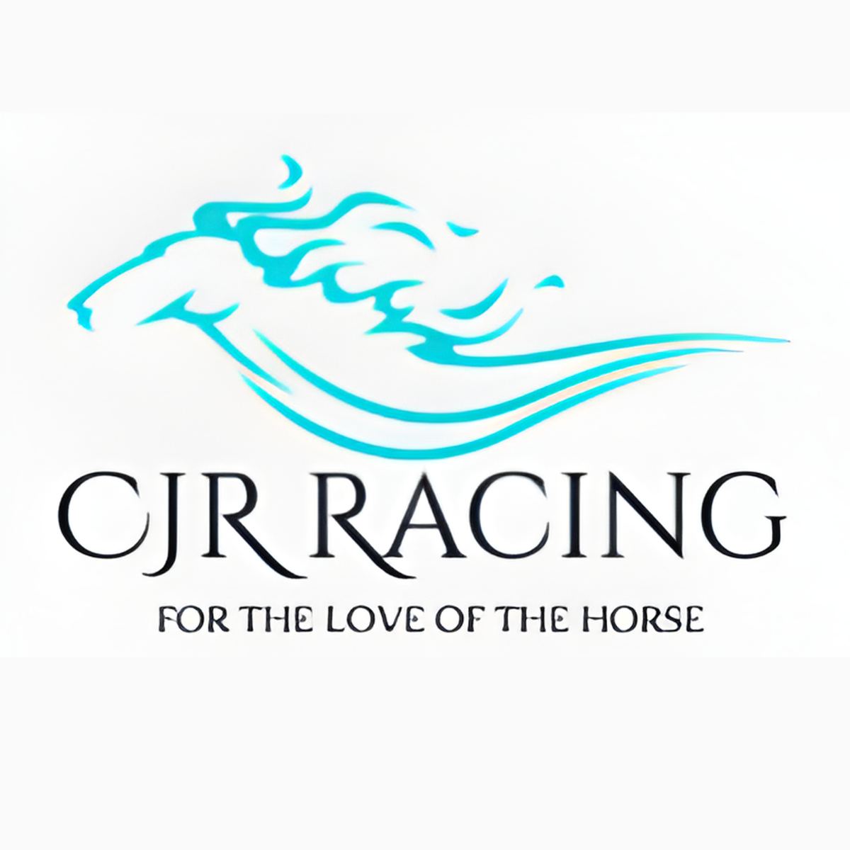 A stylized blue horse head with flowing lines above the text 'CJR RACING' and the slogan 'For the love of the horse' underneath.