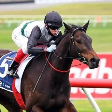 Mr Brightside powering forward under white, red and dark‑coloured silks, capturing his trademark Group 1 toughness and elite Australian miler brilliance.