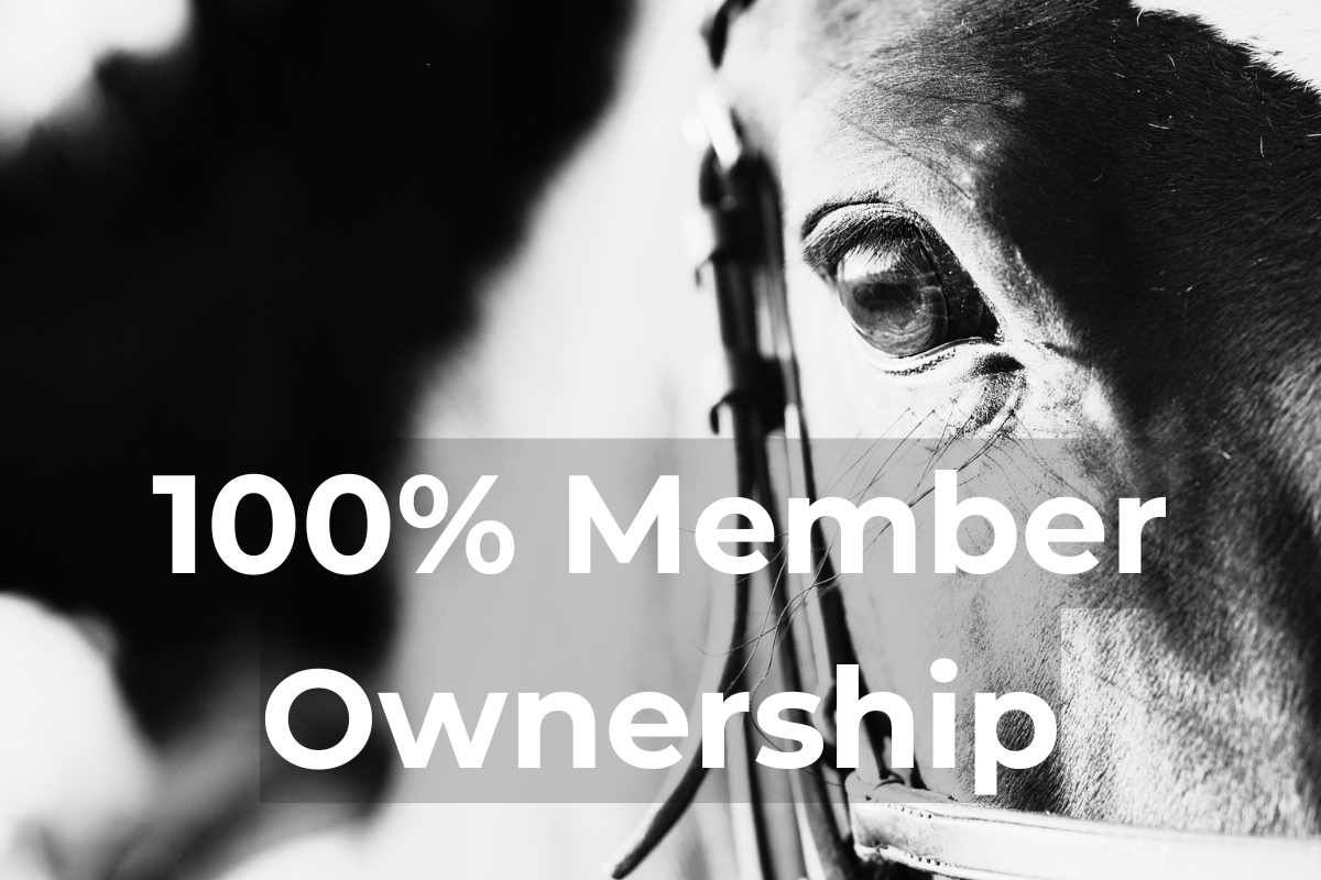 Close-up of a horse's eye and face, with a person holding the bridle or reins near the horse's head, in black and white with text overlay '100% Member Ownership'.