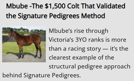 Mbube $1,500 colt Signature Pedigrees Breednet article