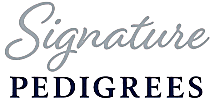 The word 'Signature' in gray cursive font above the word 'PEDIGREES' in bold black uppercase letters.
