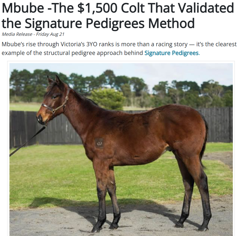 Mbube -The $1,500 Colt That Validated the Signature Pedigrees Method