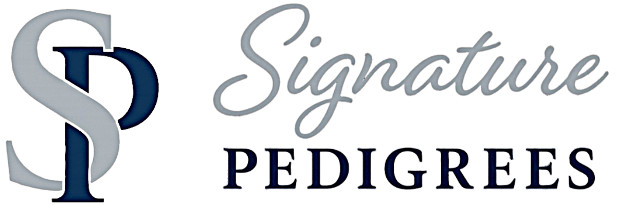 The image features the words 'Signature Pedigrees' in cursive and bold letters, arranged in a stylized logo or graphic design.