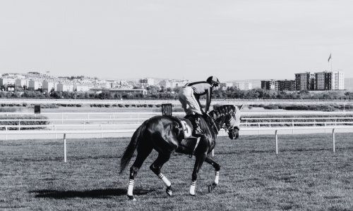 Black and white photo of a jockey riding a racehorse on the track