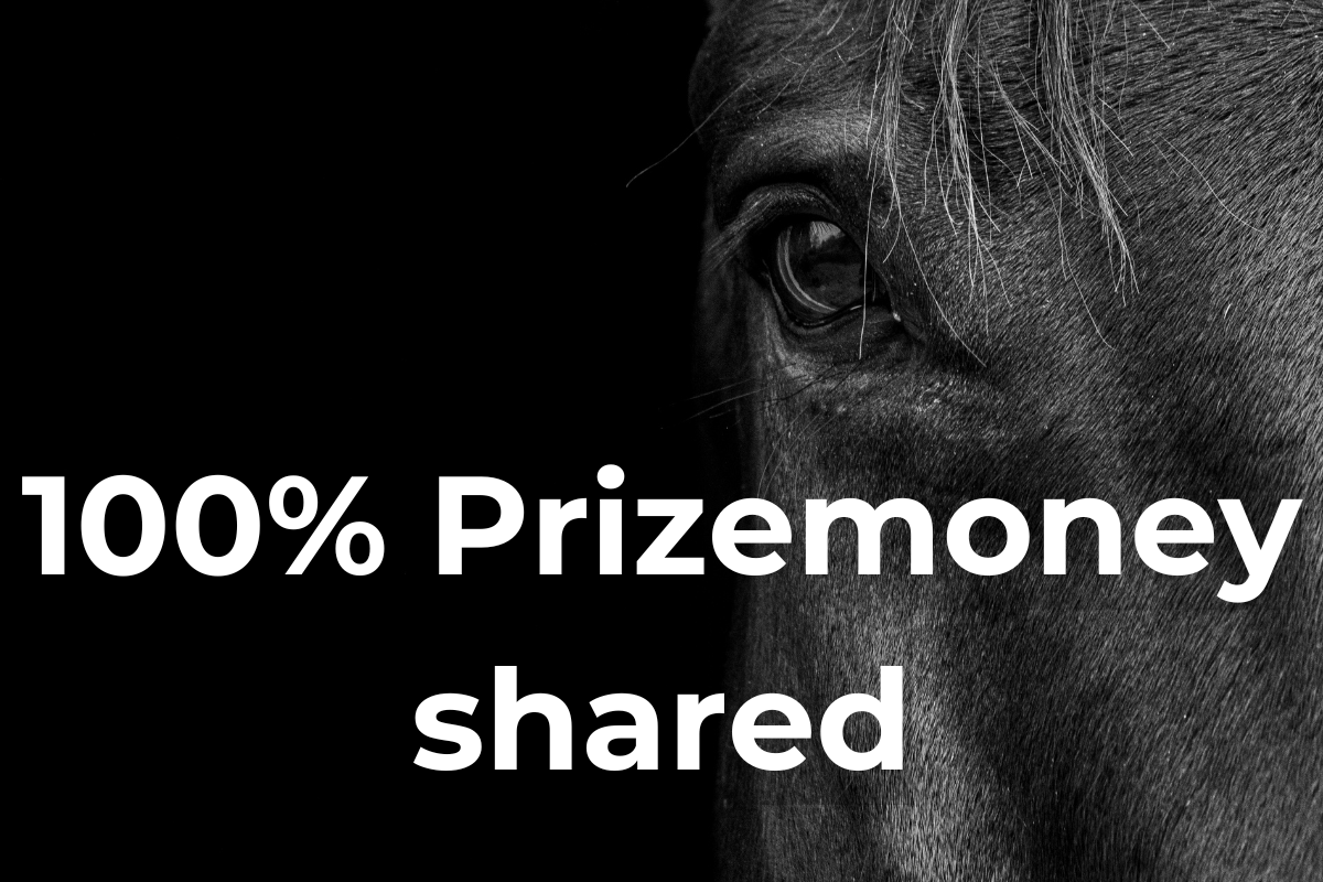 Close-up of a horse's eye and part of its face with the text '100% Prizemoney shared' overlaid.