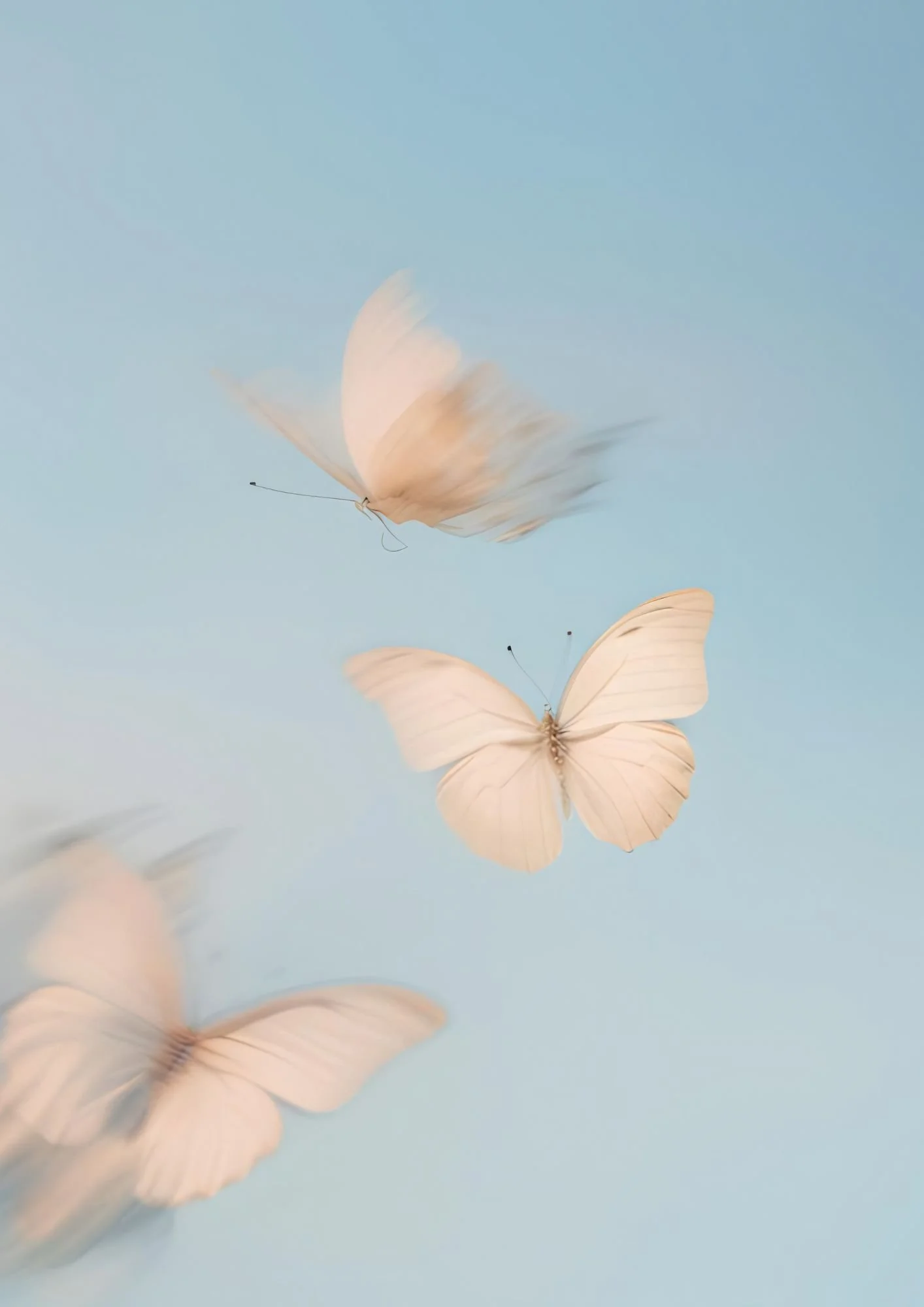 loss miscarriage chemical pregnancy support still birth grief infant loss processing