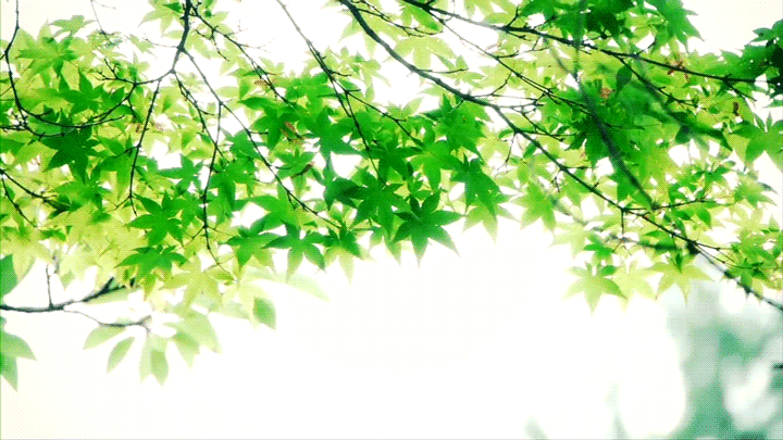 富山県 高岡古城公園 01
