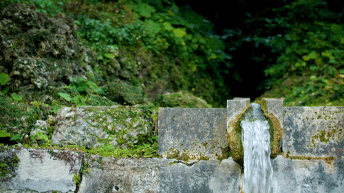 Cinemagraph: 垣花樋川（かきのはなひーじゃー）06