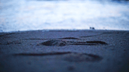 Cinemagraph - Shiozaki beach 2