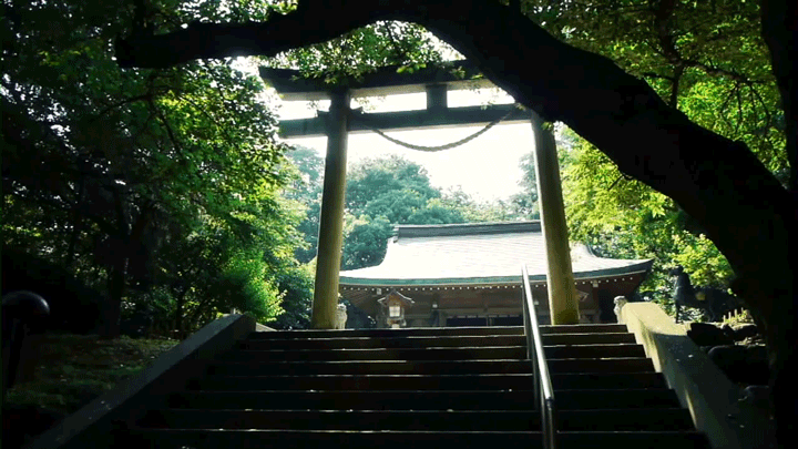富山県 高岡古城公園 08