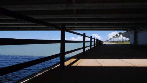Cinemagraph - Toyosaki bridge 1
