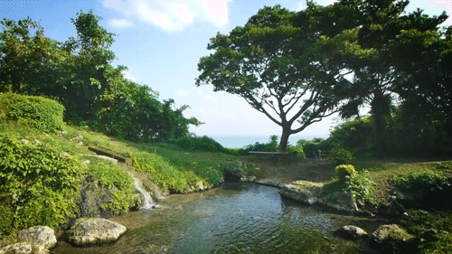 Cinemagraph: 垣花樋川（かきのはなひーじゃー）01