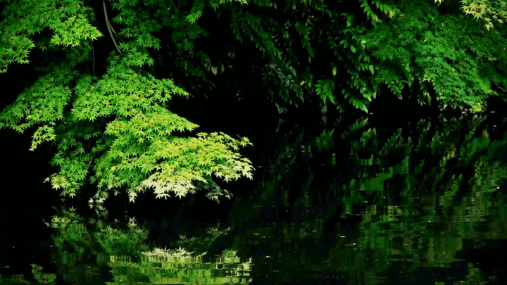 富山県 高岡古城公園 09