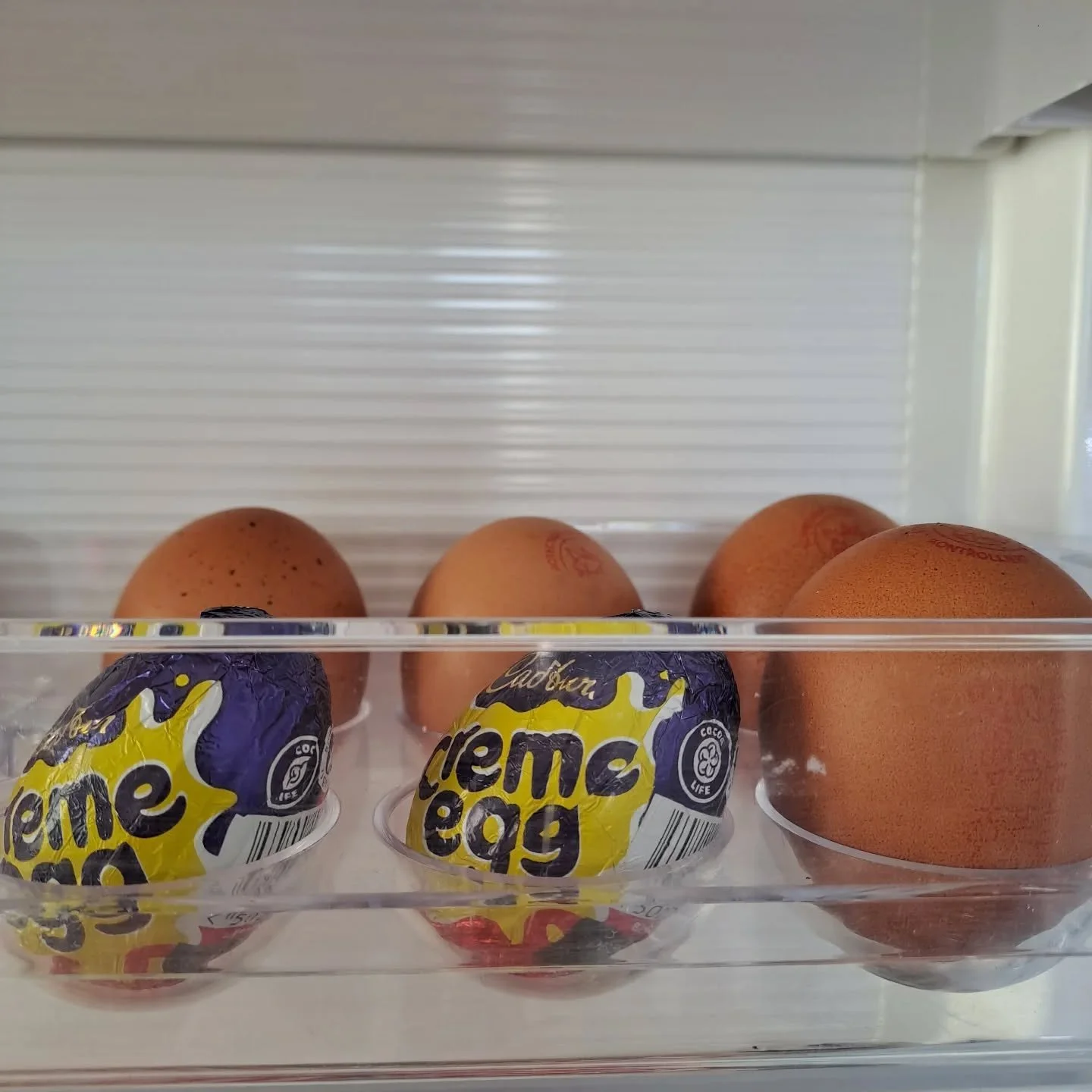 They say eggs 🥚 🪺 are great for protein, and we need a lot more protein when in the peri and menopause - are these eggs OK also 😃 #menopausing #menopausesupport #menopauseintheworkplace #perimenopause