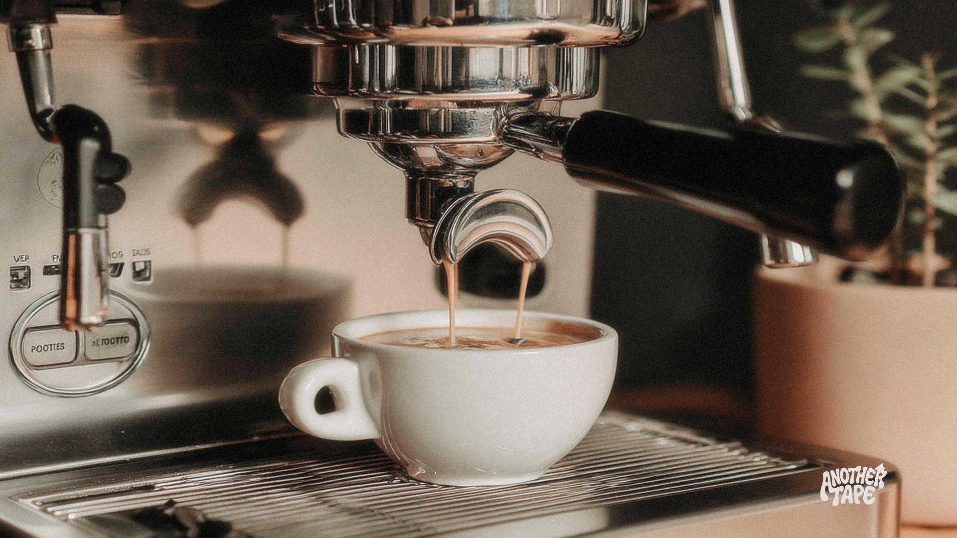 coffee_1.24.1.png