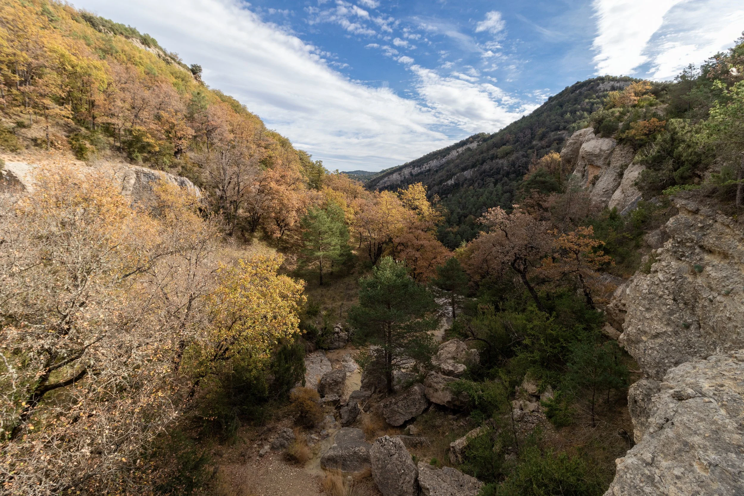 Paisaje de un cañón con árboles de colores otoñales y rocas, bajo un cielo parcialmente nublado.