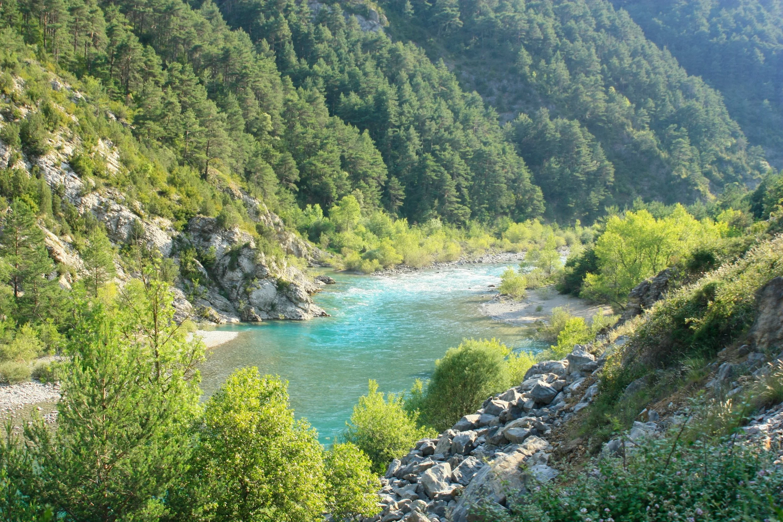 Río cristalino en medio de un valle rodeado de árboles verdes y montañas.
