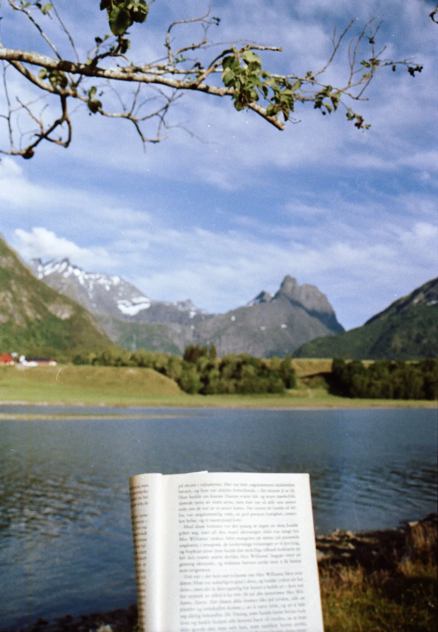 A scenic landscape with a lake, green hills, and snow-capped mountains in the background. A branch with some leaves is at the top of the image, and a booklet is partially visible at the bottom foreground.