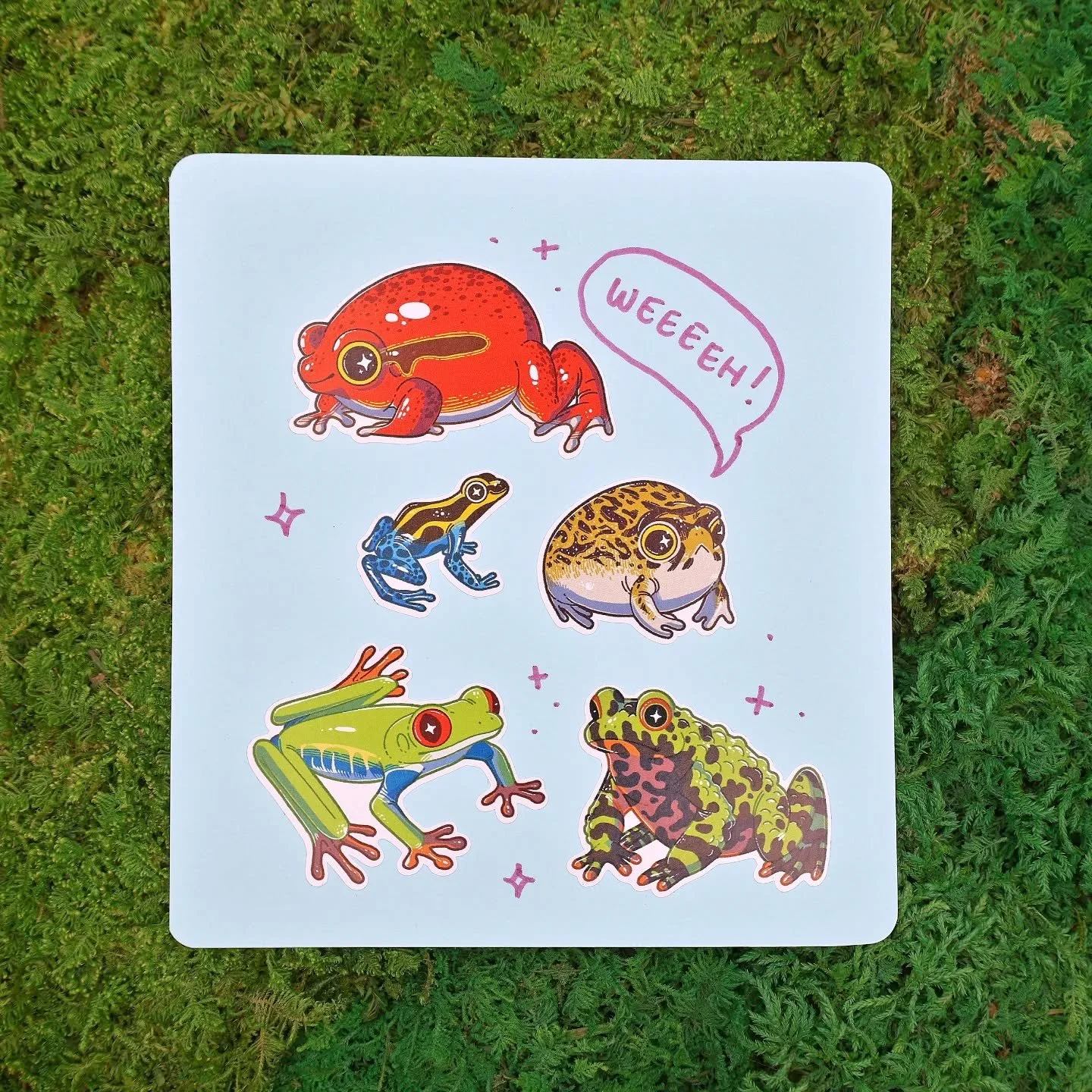 Playing around with some of my stickers 🐸 Which set is your favourite? 

My main shop will be down for a couple of days, just fyi, while I work at giving it a much needed overhaul. It'll be back on Wednesday along with all my Gone Birding stuff! If 