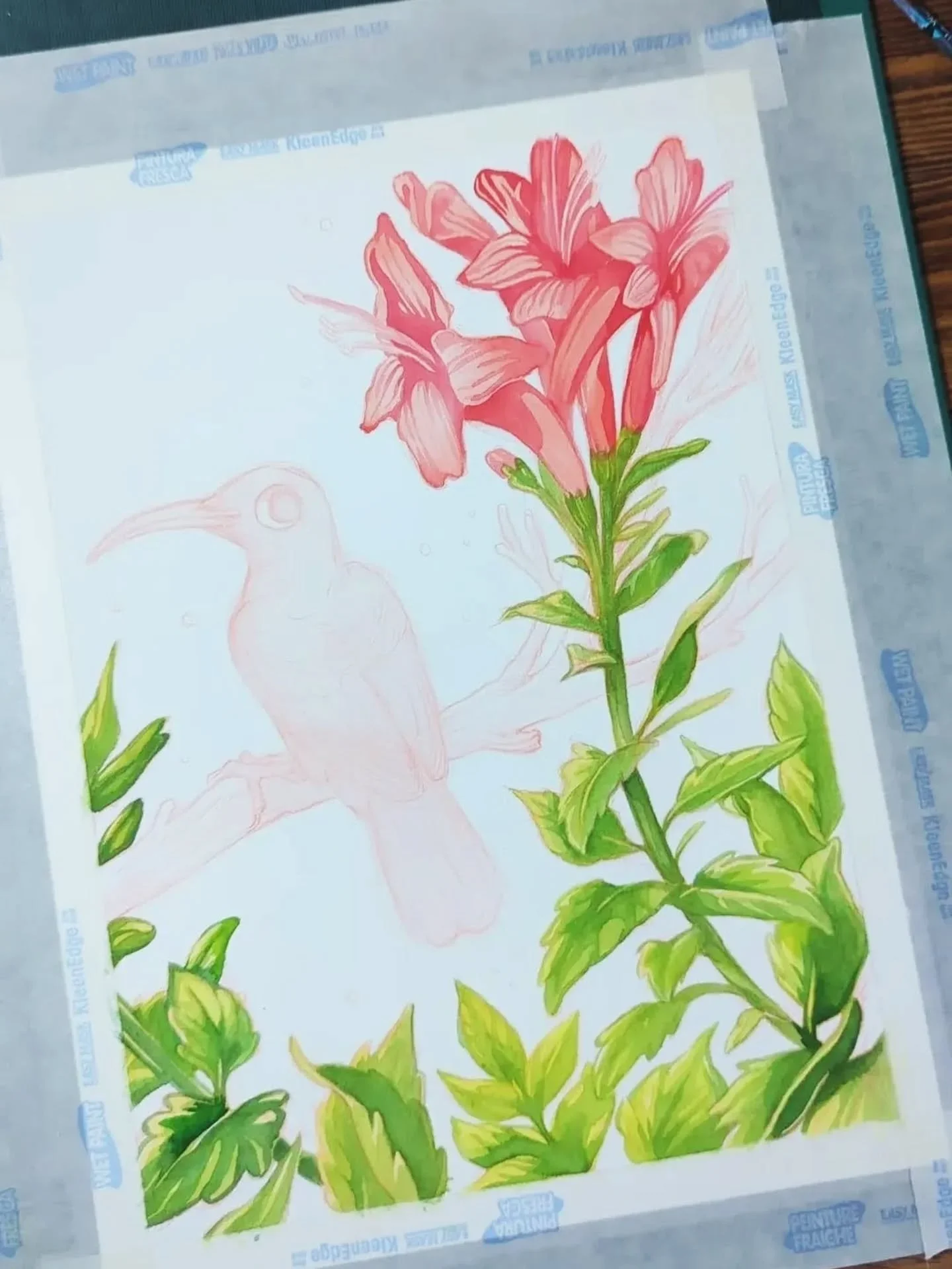Working on this big mixed media painting of a Palestine sunbird has been a labour of love and learning, so thought I'd share some of the process 🌺 

Once it's finished I'll be selling the original and donating 100% of the profits (after listing fees