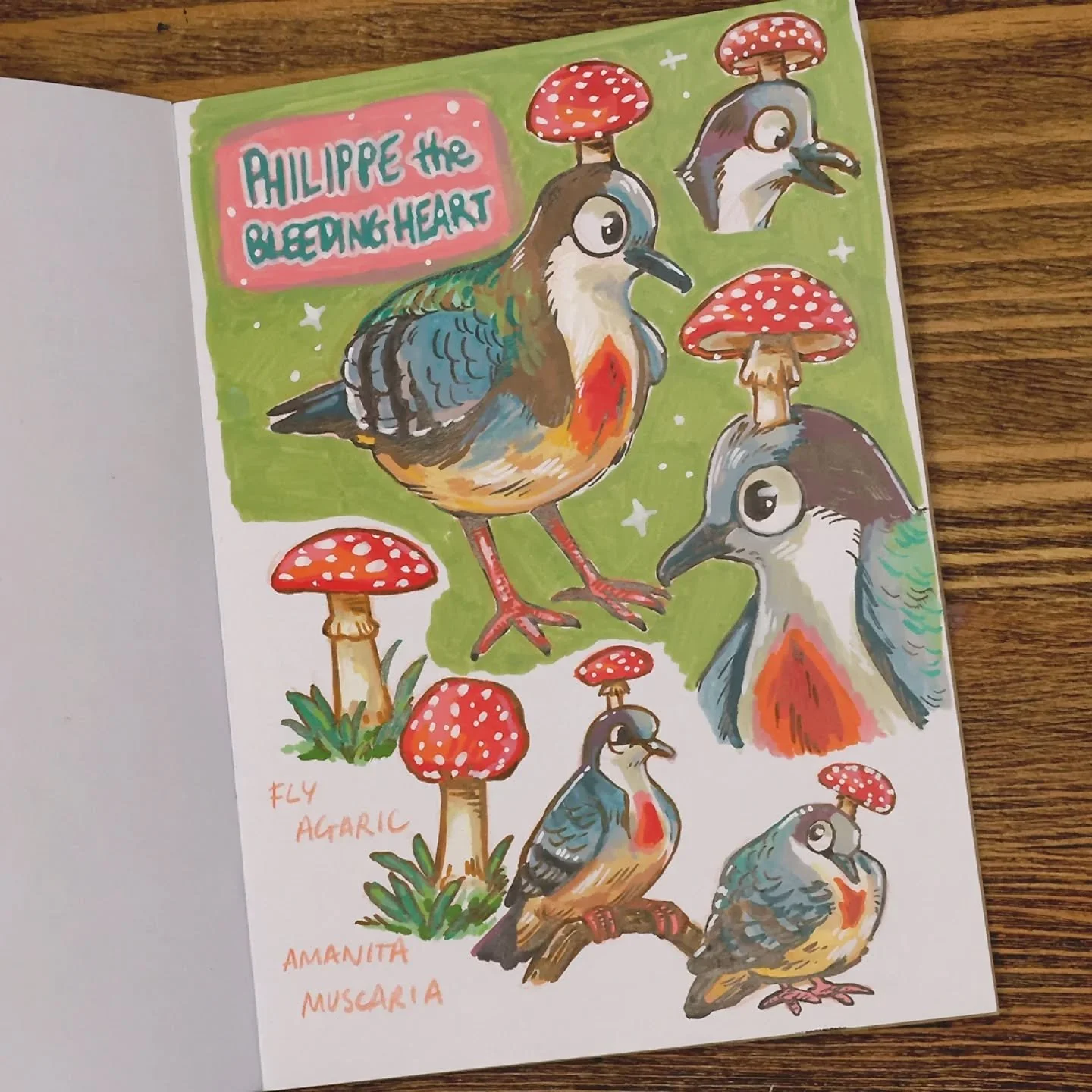 It wasn't until I was going through and editing photos of my favourite pages from this sketchbook that I realised I'd picked all the birds 🙃 

#birdart #birding #sketchbook #fungi #birdsofinstagram