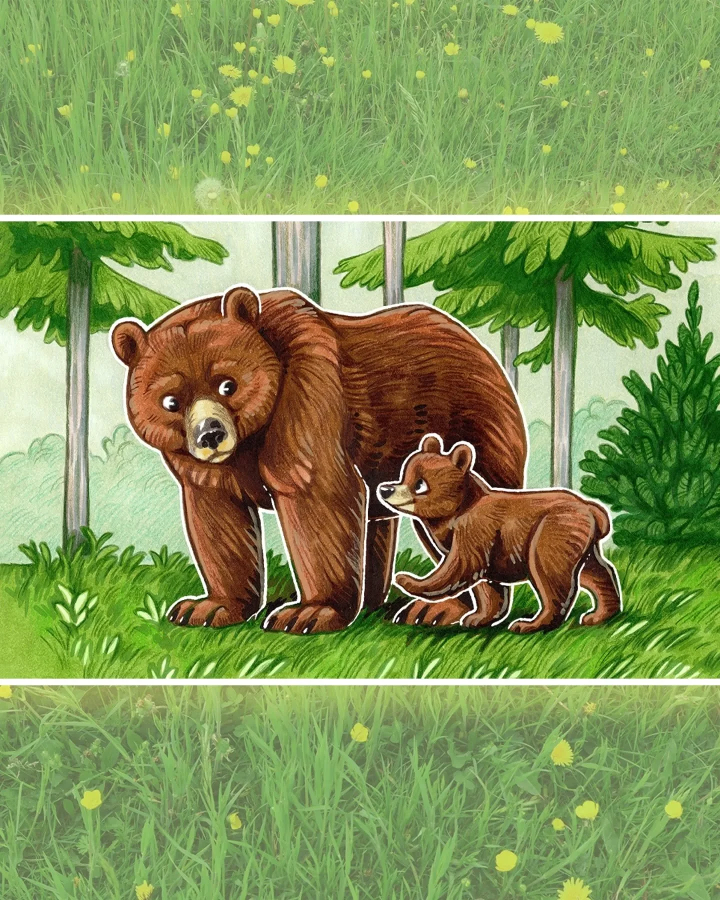 I've wanted an excuse to draw bears for a while and I got to draw FIVE for the Forests project! 🐻💚

This is the first of four pieces which will be available as wooden pin badges and wooden magnets soon.

#bearsofinstagram
#bearstagram
#brownbear 
#