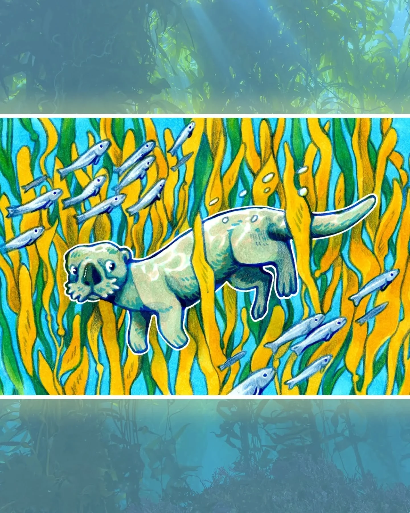 I've been drawing SO much kelp for the Forests project. It's so therapeutic 💙🦦

#seaotter #kelpforest #marineart #kelp #otter
