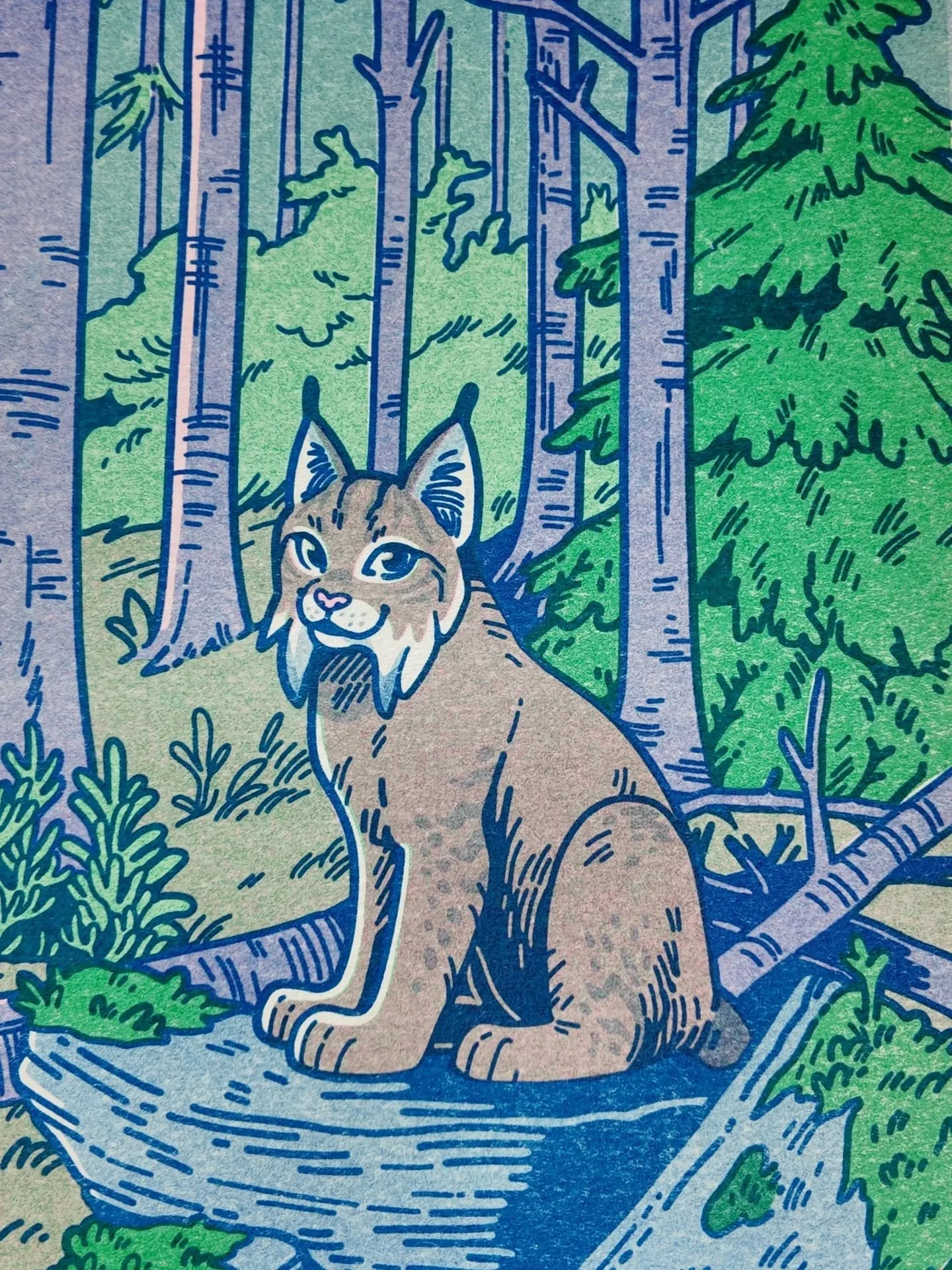 Take a little stroll with me through the boreal forests 🌲🫎

#forestart #boreal #moose #risograph #wildlifeart