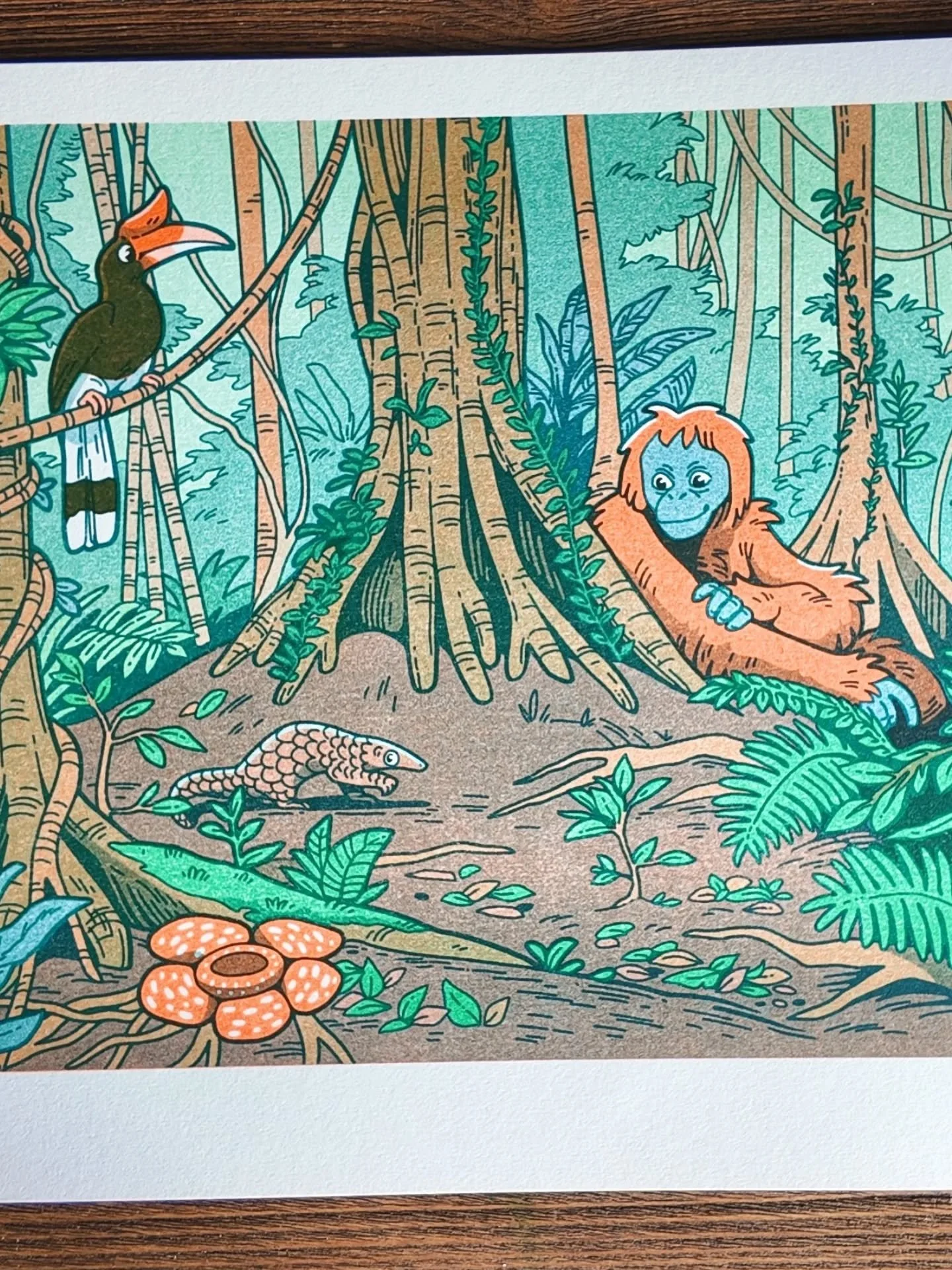 A Borneo rainforest scene for the tropical risograph forest print 🌴🌺💚

#orangutan #pangolin #hornbill #risograph #risoprint