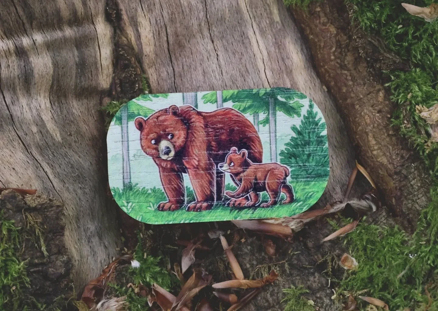 A couple of the new customisable wooden charms relaxing in the woods. These, and another two designs, will be available as magnets and pin badges by the end of next week 💚 

#forestlovers #brownbear #adder #forestart #ecologyart