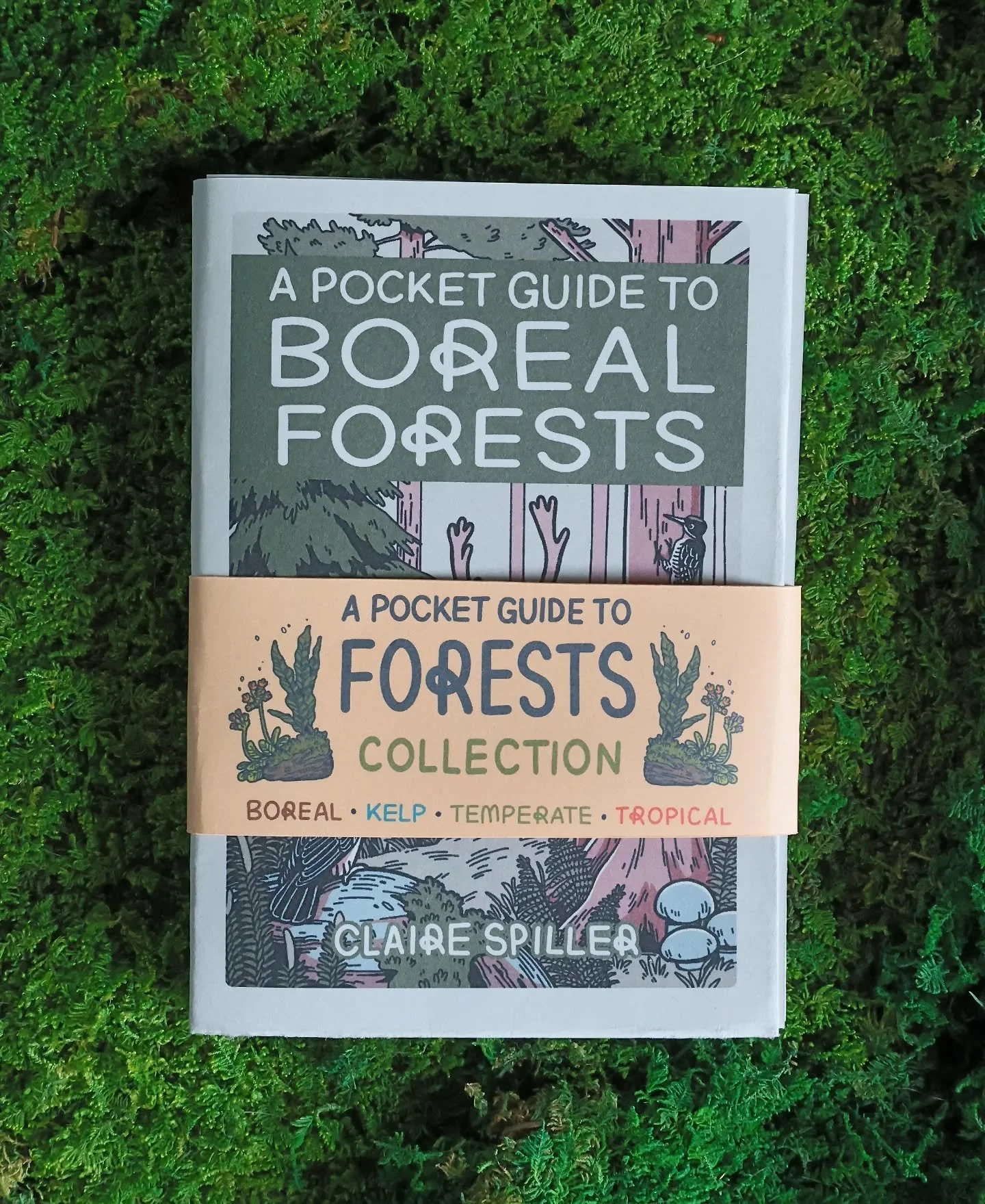 The forest update is now live! ✨🌳
And the four new Pocket Guides come in this very cute and convenient collection. 
I know everyone's strapped for cash at the moment, so you can use the code 'SPRINGBLOOM26' for 10% everything in my shop - clairespil