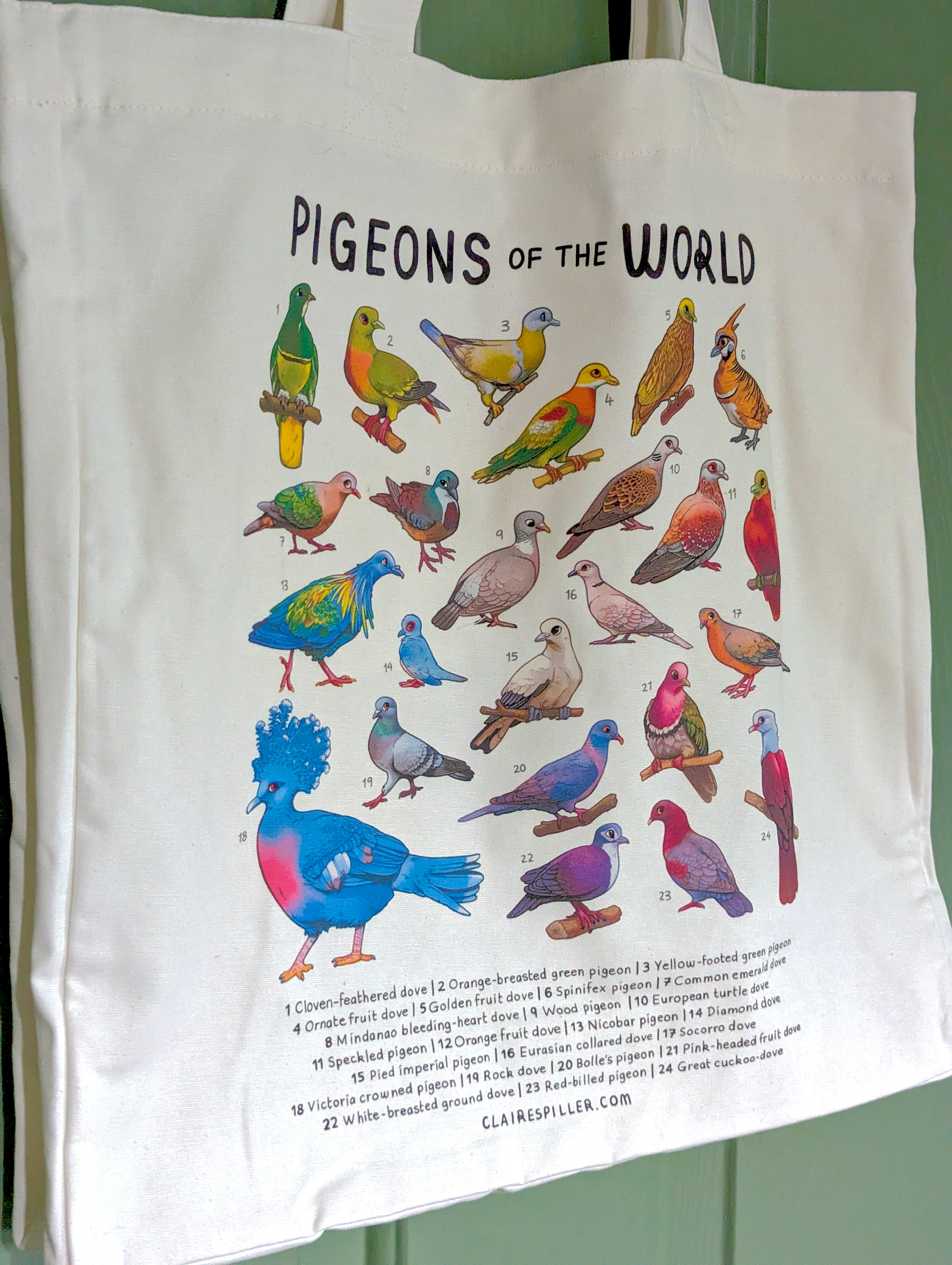 TOTE_pigeon3.png