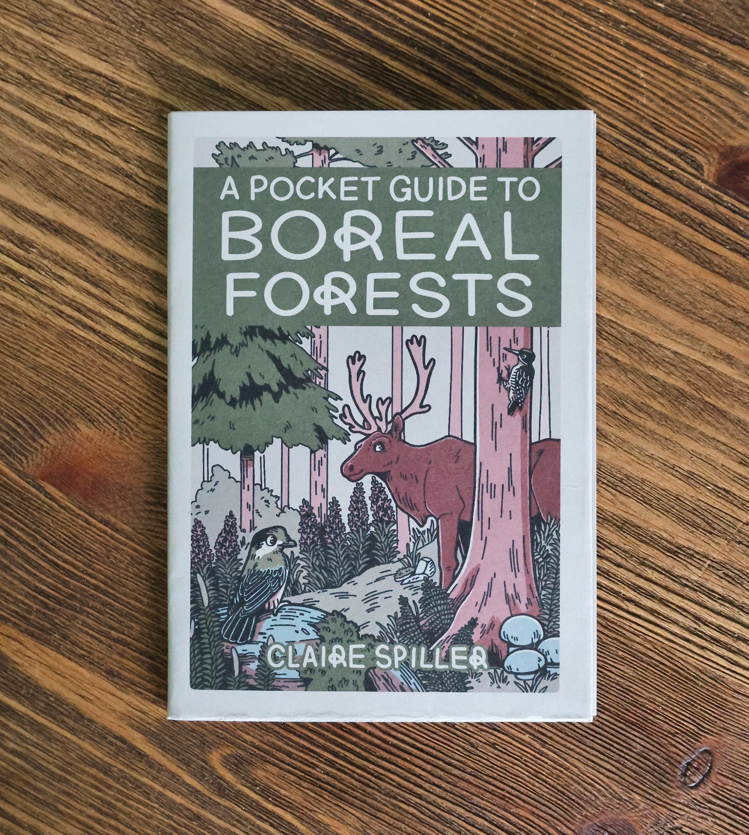 BorealGuide2.png