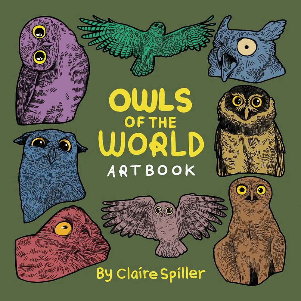 Cover of 'Owls of the World' art book featuring illustrations of various owl species with large, expressive eyes, set against a green background.