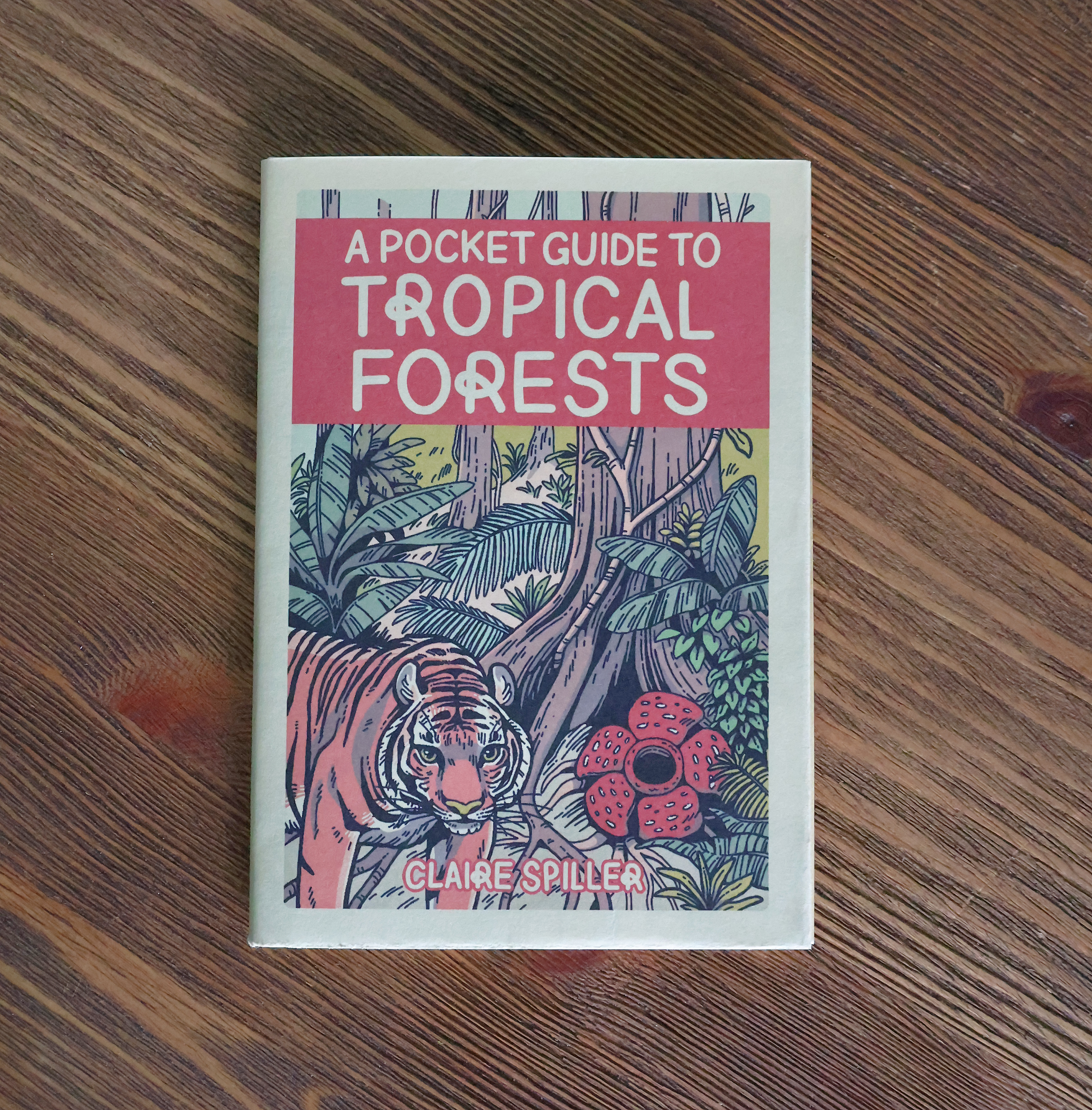 TropicalGuide1.png