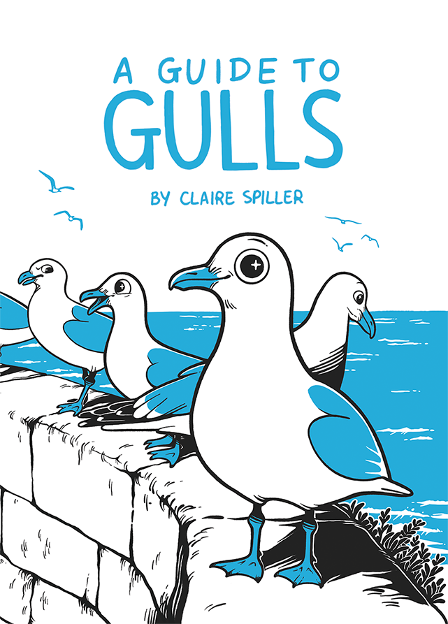 Book cover titled 'A Guide to Gulls' by Claire Spiller, featuring illustrated gulls standing on a stone wall by the water, with flying gulls in the background.