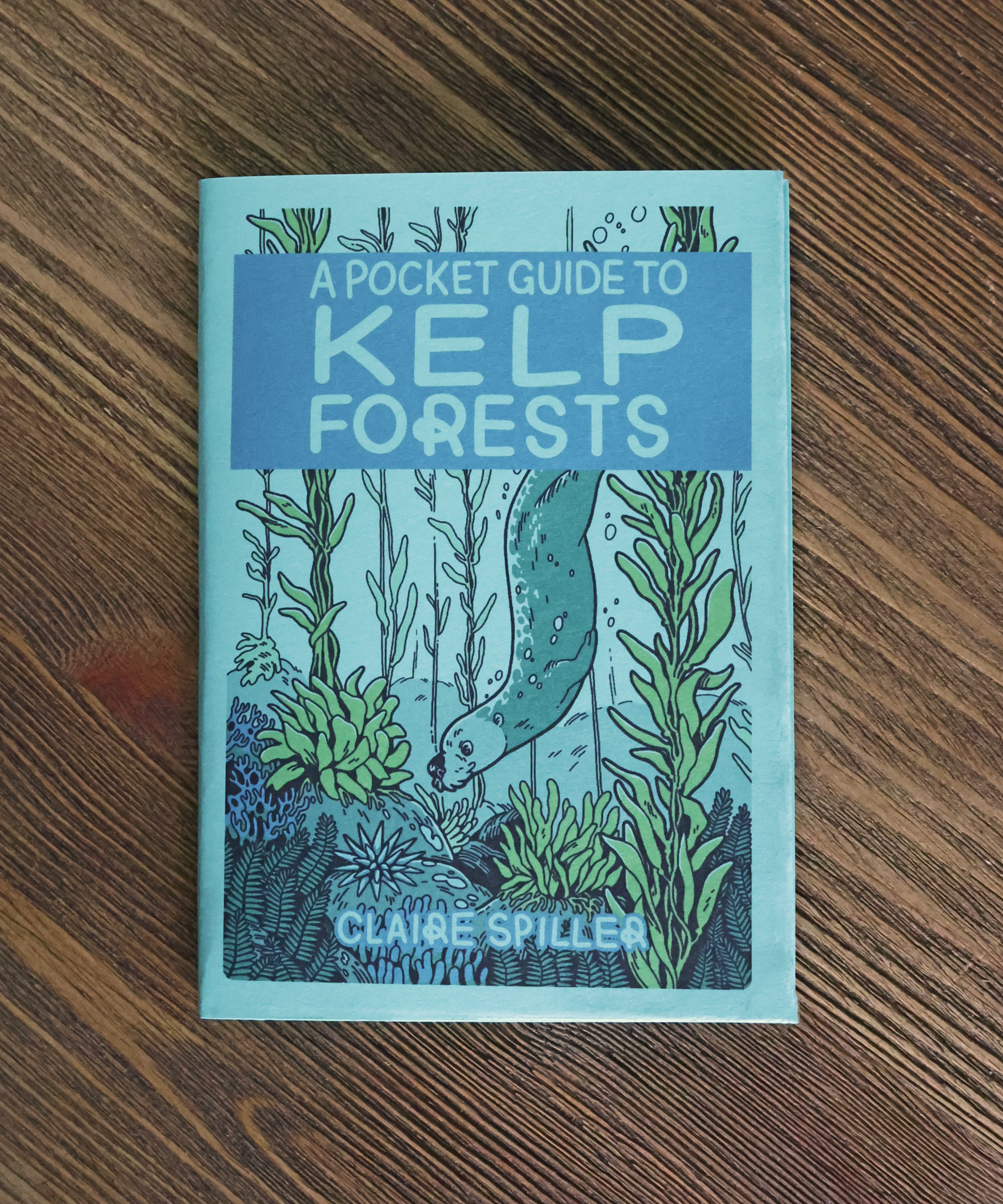 KelpGuide1.png