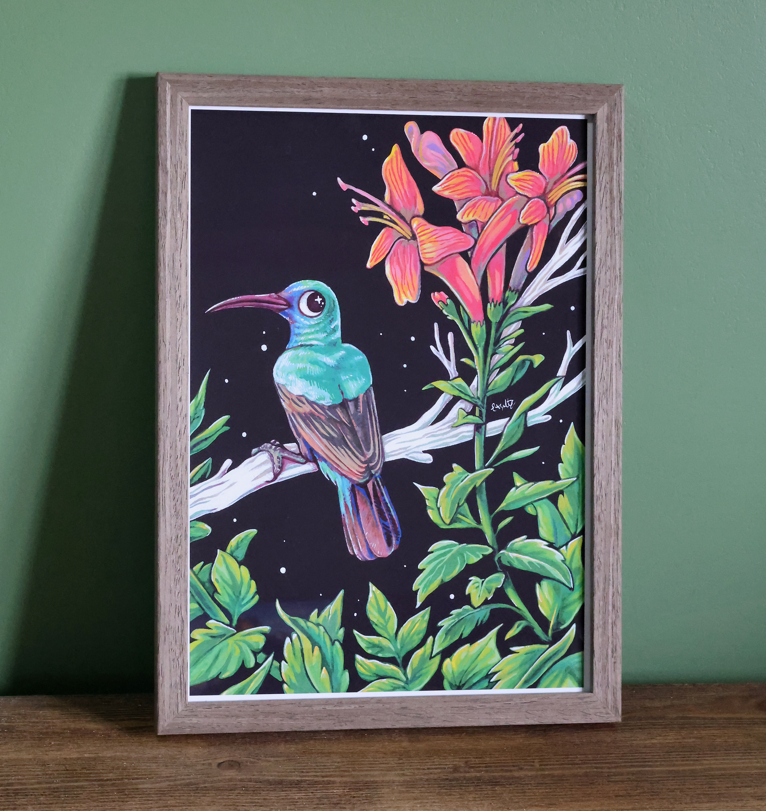 Sunbird2.png