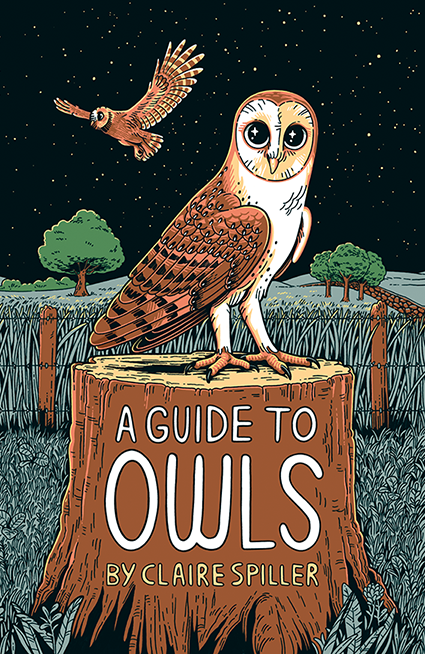 Illustration of an owl perched on a tree stump with a bird flying in the night sky, surrounded by trees and stars, featuring the title 'A Guide to Owls' by Claire Spiller.