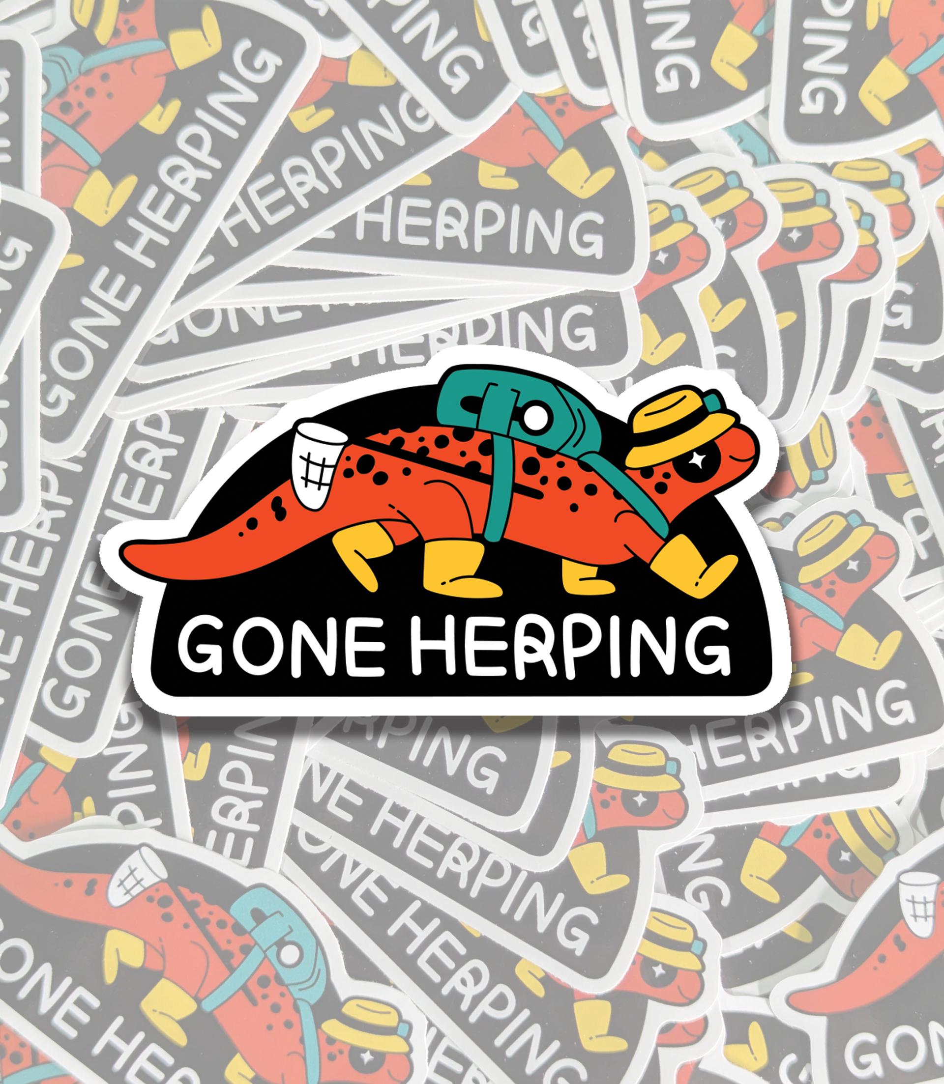 PXL_20260216_140714415 copy.png