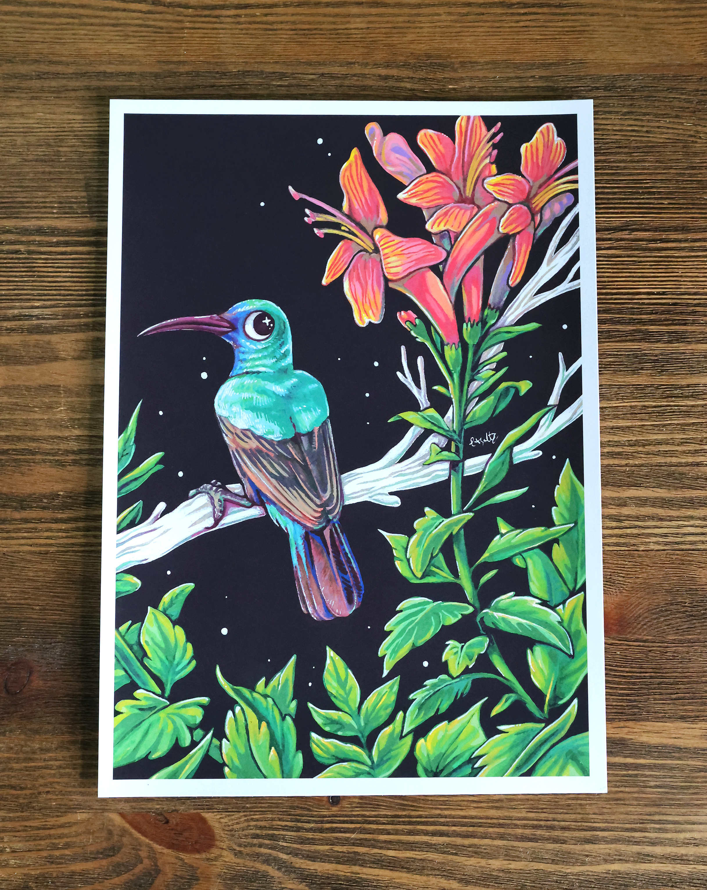Palestine Sunbird Art Print - 50% MAP Donation