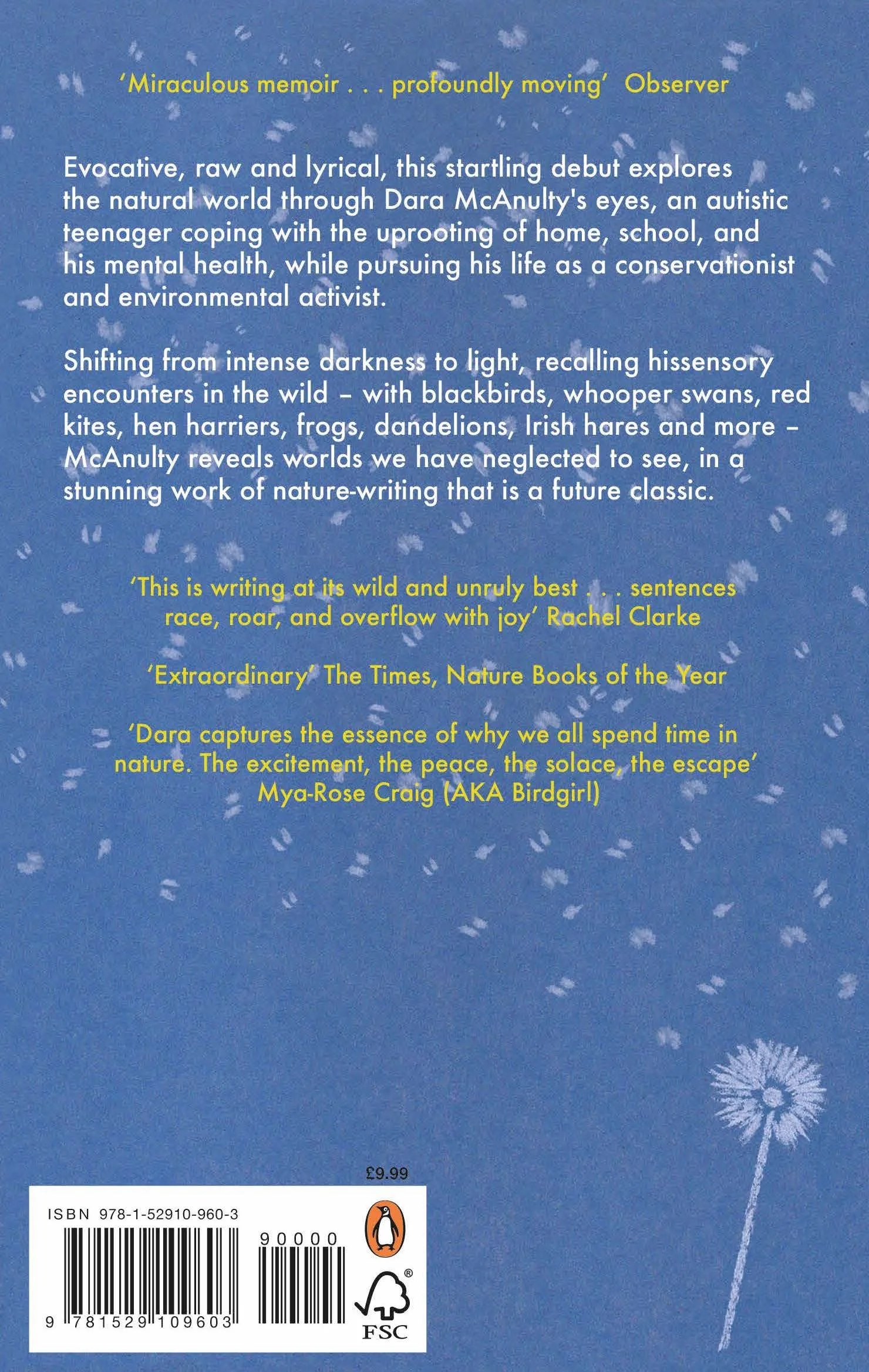 Penguin Competiton Thing_Page_2 3.jpg