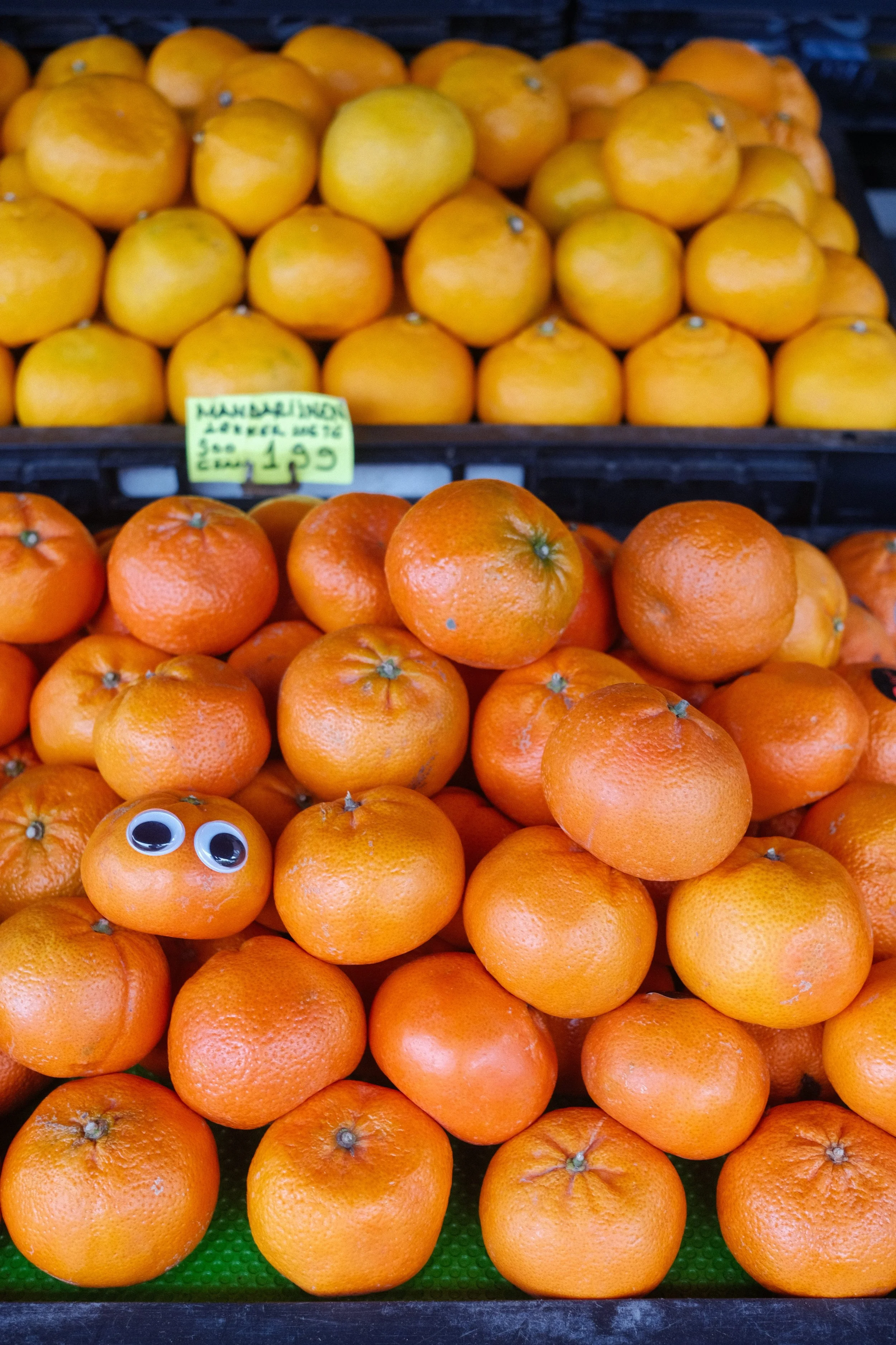 Pile of oranges and lemons on a produce stand with a yellow price tag and googly eyes on one orange.