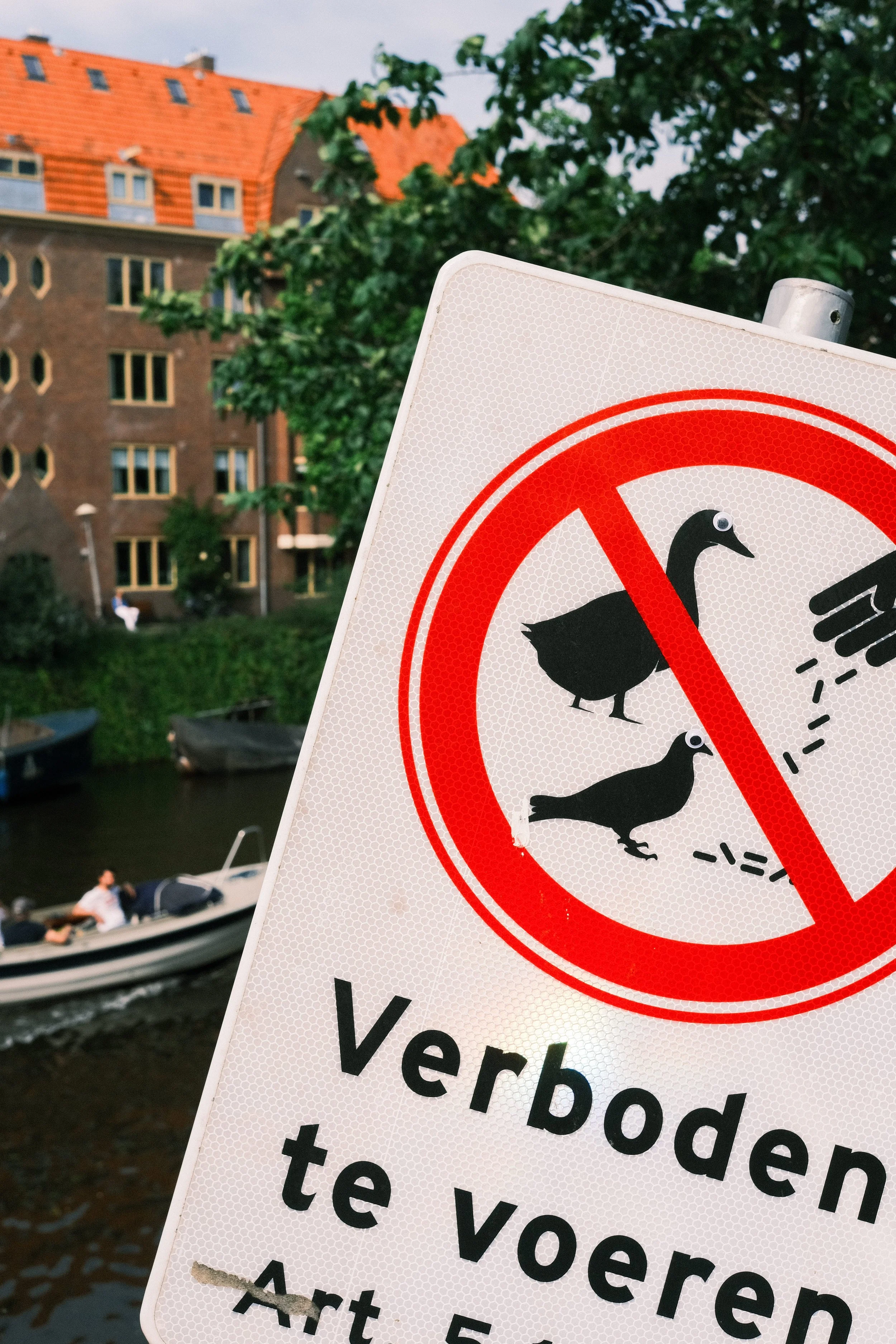 A sign with a red circle and line crossing out images of ducks, indicating no feeding of ducks, with a river, boats, trees, and a building with orange rooftops in the background.